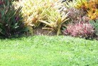 Woodlands NSWlawn-and-turf-15.jpg; ?>
